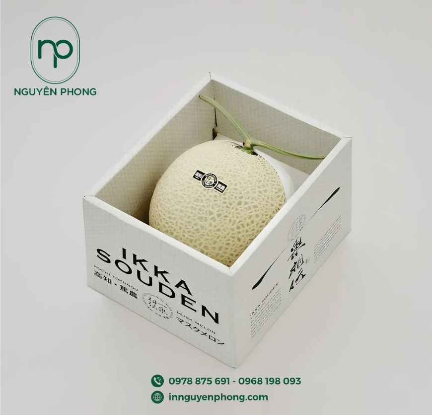 mau-hop-giay-dung-dua-luoi-xuat-khau